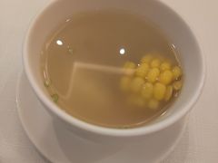 每日例汤-醉辉皇上海之巅(上海中心大厦店)
