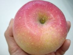 -哈尔信食品超市(世纪花园店)