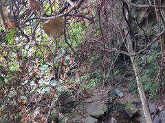 -牛鱼嘴原始生态风景区