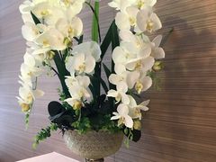 -苏州吴中希尔顿欢朋酒店