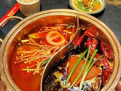 -镇江龙·火锅串串(武侯祠店)