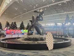 -青岛胶东国际机场