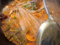 -鸽子刘铁锅炖鱼(劲松店)
