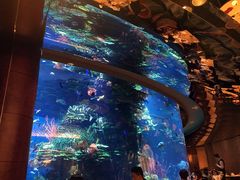 -迪拜帆船酒店海底餐厅