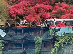 -乌江画廊(彭水苗族土家族自治县)