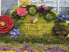 -花之城