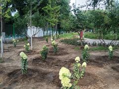 -元大都城垣遗址公园