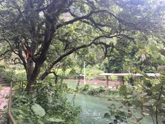 景点-紫云谷景区