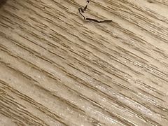 -尊宝比萨(江南豪园店)