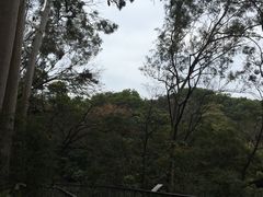 -广州市白云山风景名胜区
