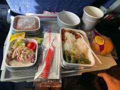 -谢列梅捷沃国际机场