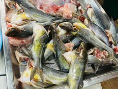 -渔小贰 稻田蛙·鱼火锅