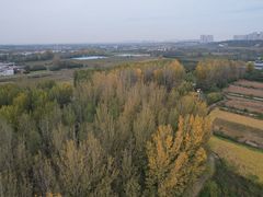 -林间山庄
