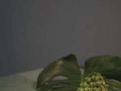 -汉艺唐风茶艺培训(联发华美空间店)