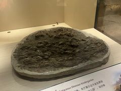-辽宁古生物博物馆