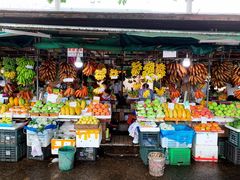 -南沙十九涌渔人码头-南门