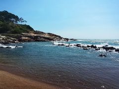-广东惠东海龟国家级自然保护区