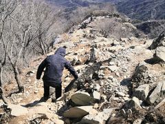 -北京鹫峰国家森林公园