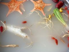 鲜人参锅底-千岛蚝高压锅生蚝·人参火锅(白云万达店)