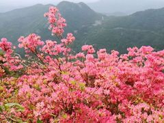 -木兰云雾山