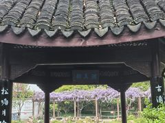 -上海醉白池公园