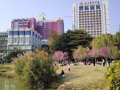 -南宁南湖公园