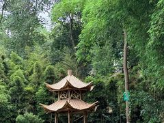 -富乐山