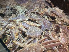 -海鲜e族(马王堆店)