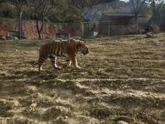 -无锡动物园·太湖欢乐园