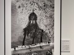 -上海宝龙美术馆