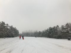 -汉长安城未央宫国家考古遗址公园