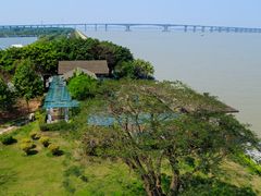 -大湾区中央湿地公园