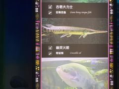 -顺德南宏海立方海洋公园