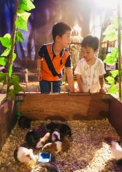 -酷嗒动物文化乐园(cutezoo西溪乐天城店)