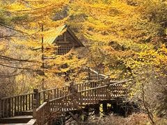 -苏木山森林公园