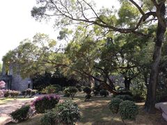 -广州莲花山旅游区