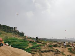 -金海湾滨江公园