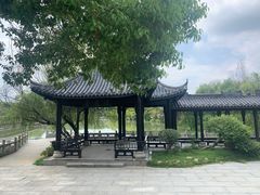 -八大山人梅湖景区