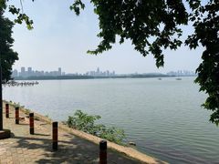 -武汉大学-樱园