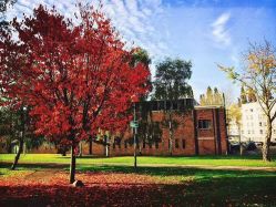 -涩谷· Hair Salon