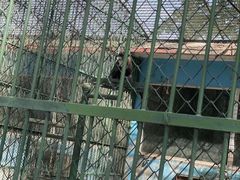 -秦皇岛野生动物园