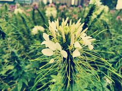 -文华公园(禅城区)