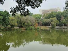 -人民公园(罗湖区)