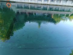 -百脉泉景区