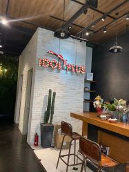 -IDOL-PLUS