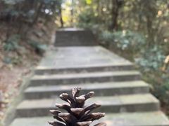 -宁波市保国寺古建筑博物馆