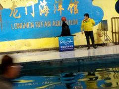 android_upload_pic-洛阳龙门海洋馆