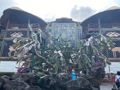 -海南槟榔谷黎苗文化旅游区