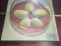 -青岛贝壳博物馆