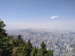 -兰山公园